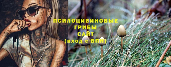 спайс Алзамай