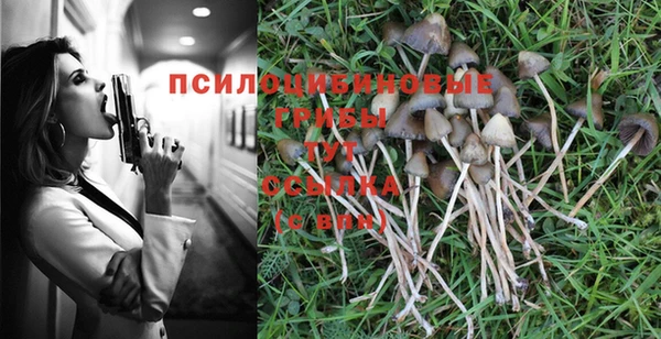 спайс Алзамай