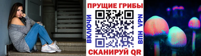 Галлюциногенные грибы GOLDEN TEACHER  наркотики  Ливны 