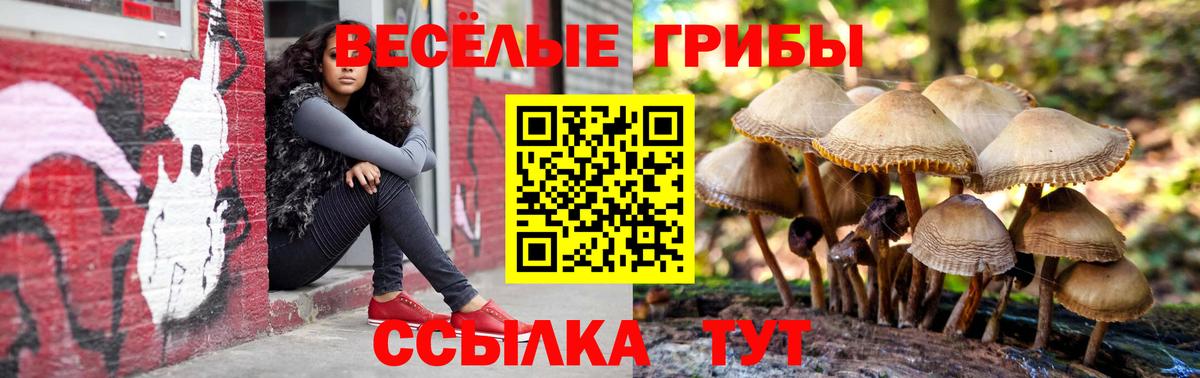 Ливны  Псилоцибиновые грибы Cubensis  Вход с VPN  Псилоцибиновые грибы GOLDEN TEACHER 