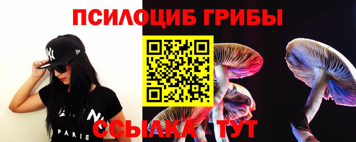 Псилоцибиновые грибы мицелий Ливны